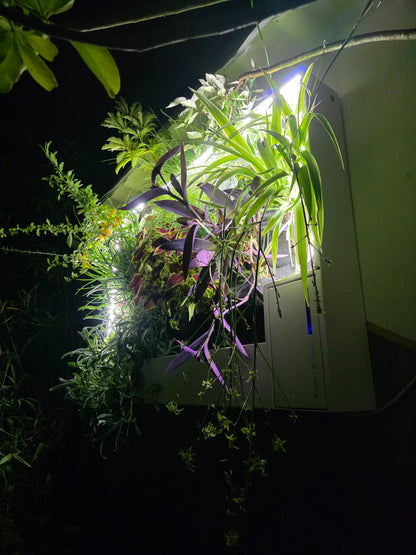 Nature Nest